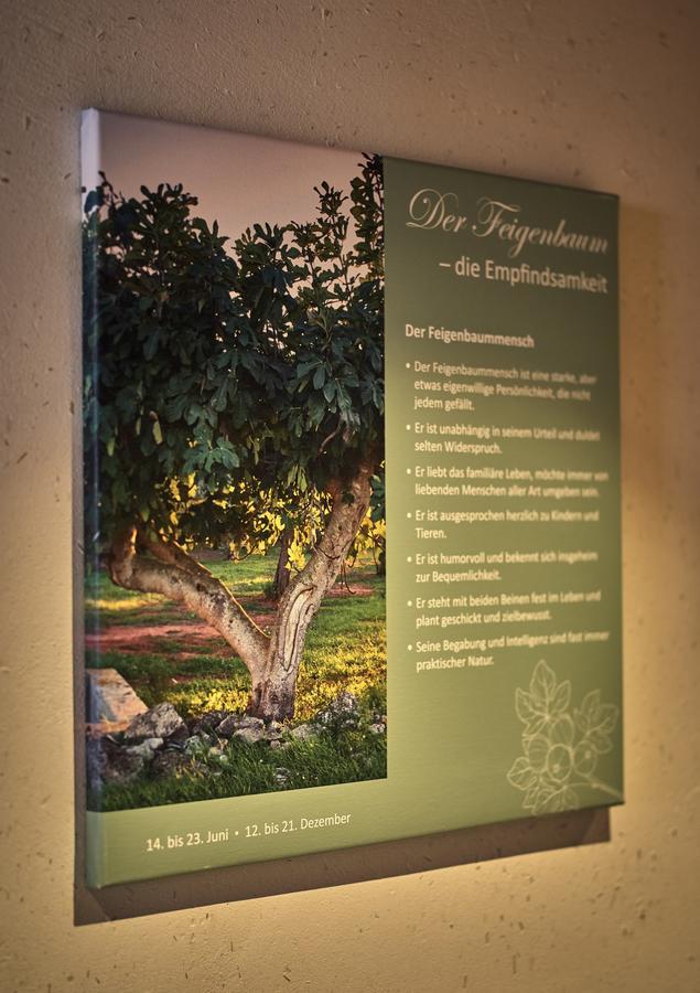 Zedernhof Gesundheits- & Wellnesshotel Stamsried Buitenkant foto